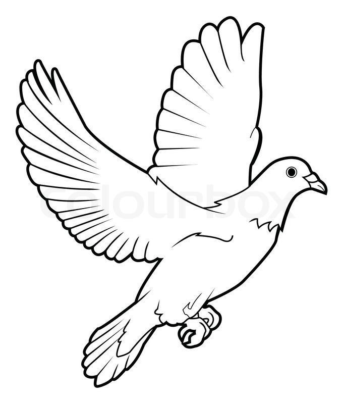 680x800 Dove Peace Stock Vector Colourbox