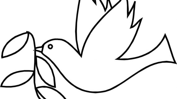 570x320 How To Draw A Dove How To Draw Doves For Kids Step Step Animals