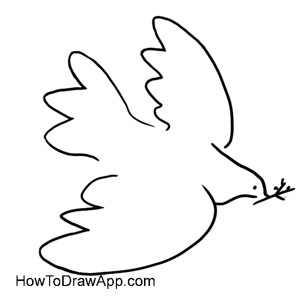 600x600 Learn How To Draw A Dove Of Peace In Pablo Picasso's Style