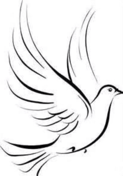 410x587 Simple Dove Sketch Drawings Dove Sketches