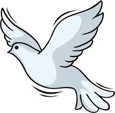 227x222 Best Dove Drawing Ideas White Dove Tattoos