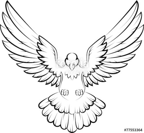 500x461 Best Dove Sketches Ideas Dove Real Beauty