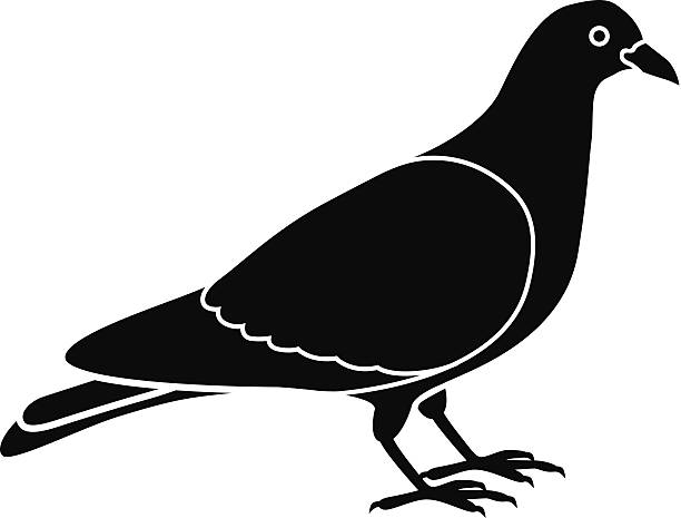 612x465 Dove Clipart Side View
