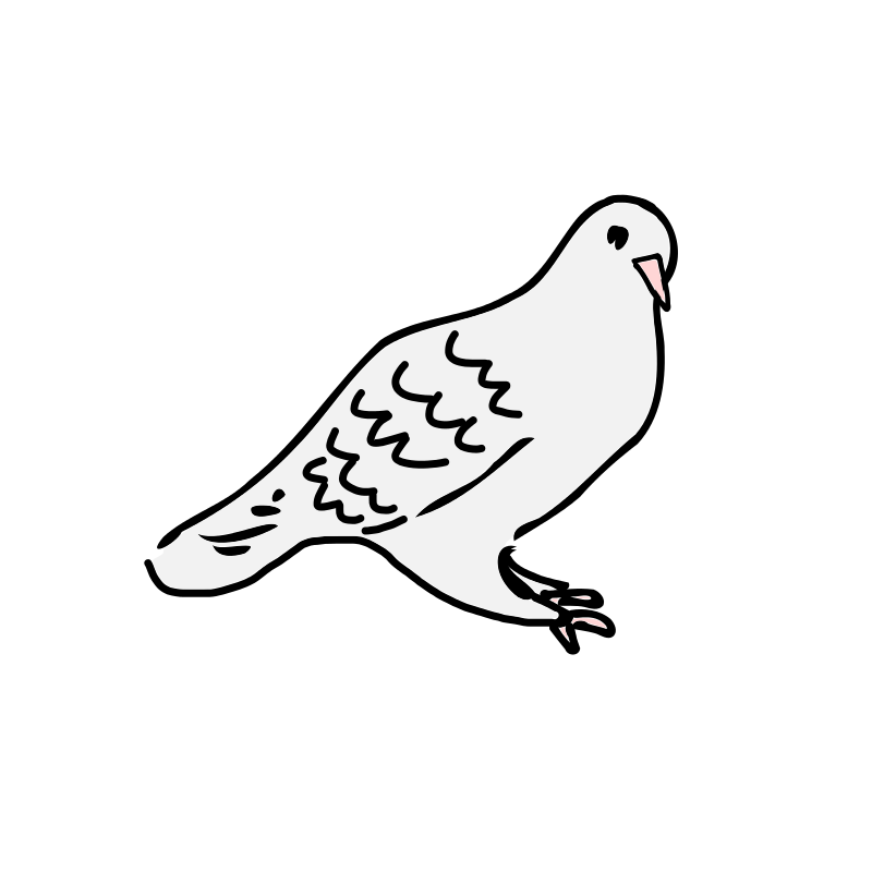 800x800 Free Clipart Dove Is Sitting Loveandread