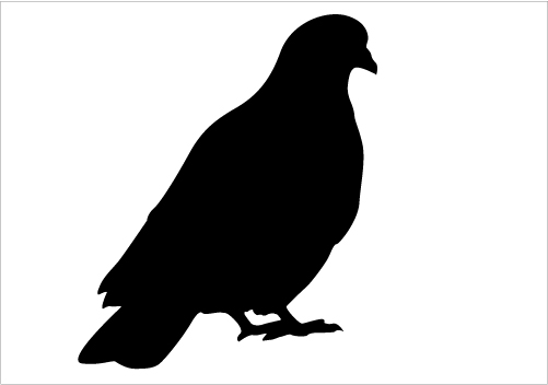 501x352 Sitting Dove Clipart, Explore Pictures