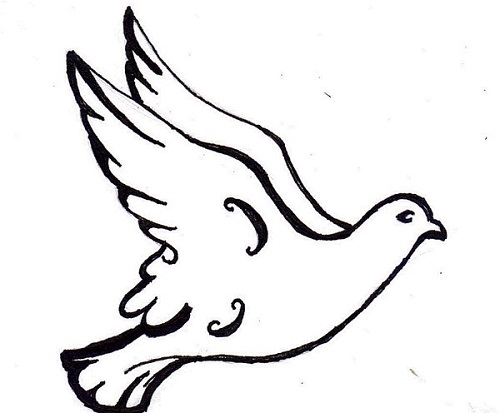 500x413 Black Outline Dove Tattoo Design