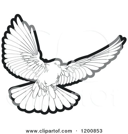 450x470 Doves Clipart White Dove Wedding Bell Pencil And In Color Clipart
