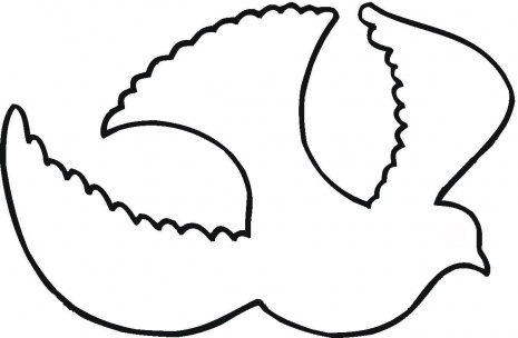 465x304 Best Dove Outline