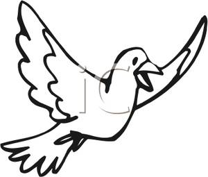 300x255 And White Dove