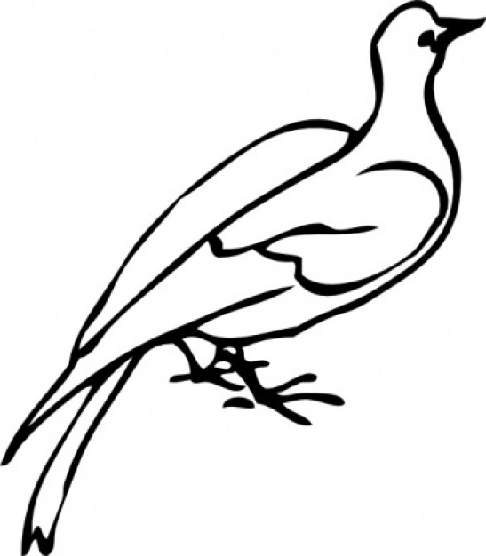 547x626 Dove Clipart Transparent No Background Free Image