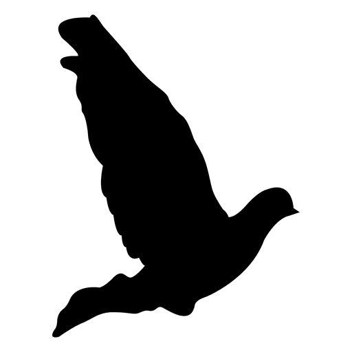 512x512 Dove Flying Sequence 5