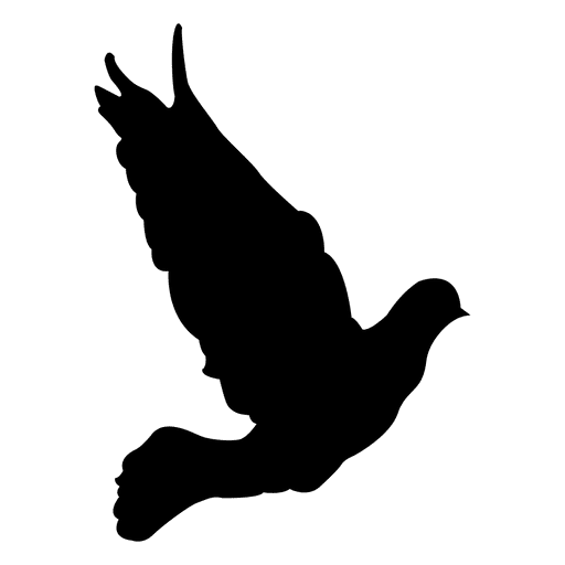 512x512 Flying Dove Sequence