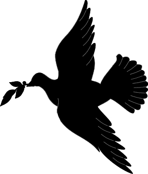 305x360 White Dove No Background Clipart