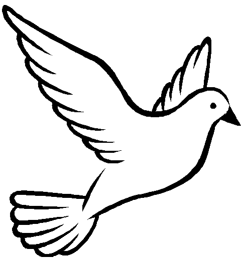 480x525 Free Dove Clipart