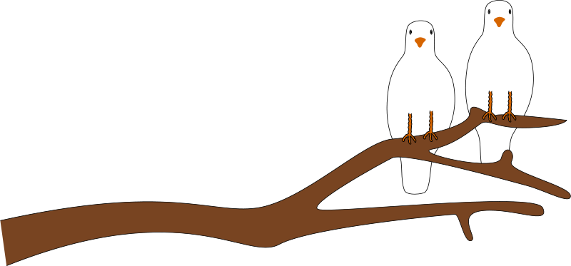 800x373 Sitting Dove Clipart, Explore Pictures
