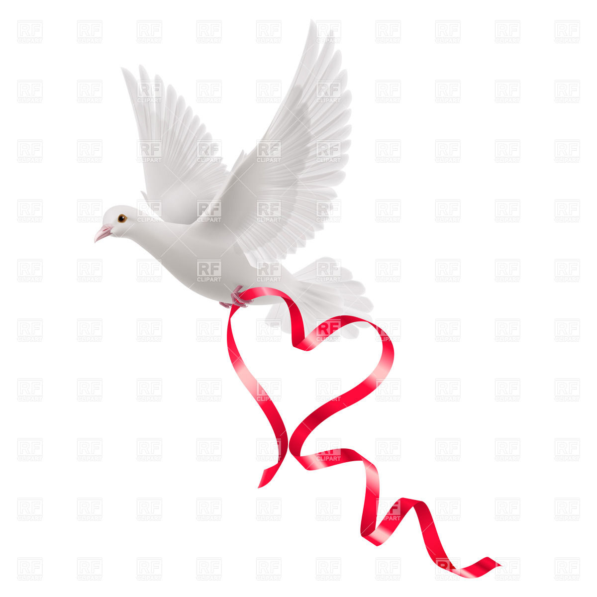 1200x1200 Dove With Red Ribbon On White Background Royalty Free Vector Clip