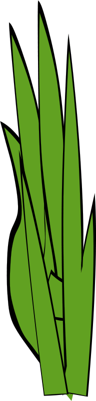 192x800 Free Clipart