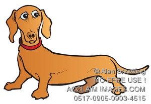300x207 Dachshund Clipart Weiner Dog