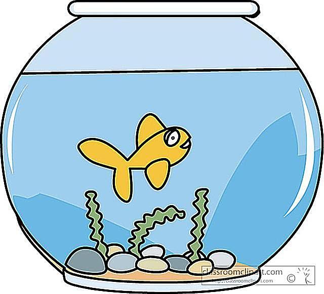 640x582 Fish Bowl Fish In Clip Art