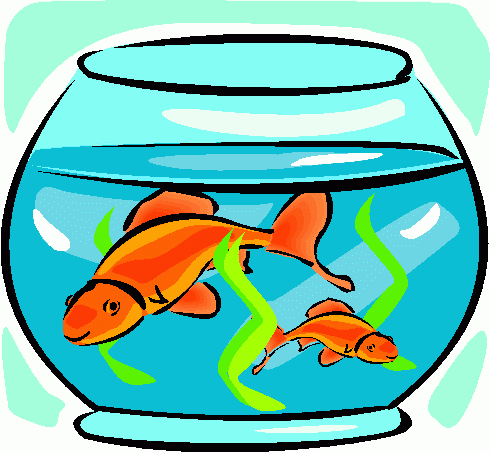 490x452 Goldfish Clipart Pet Fish