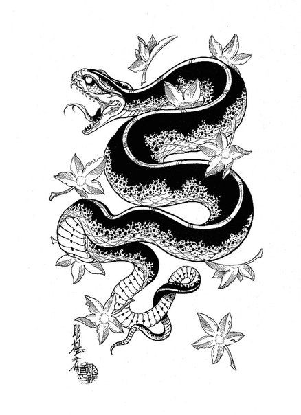 438x604 57 Best Snakes Images Cool Tattoos, Glitter Tattoos