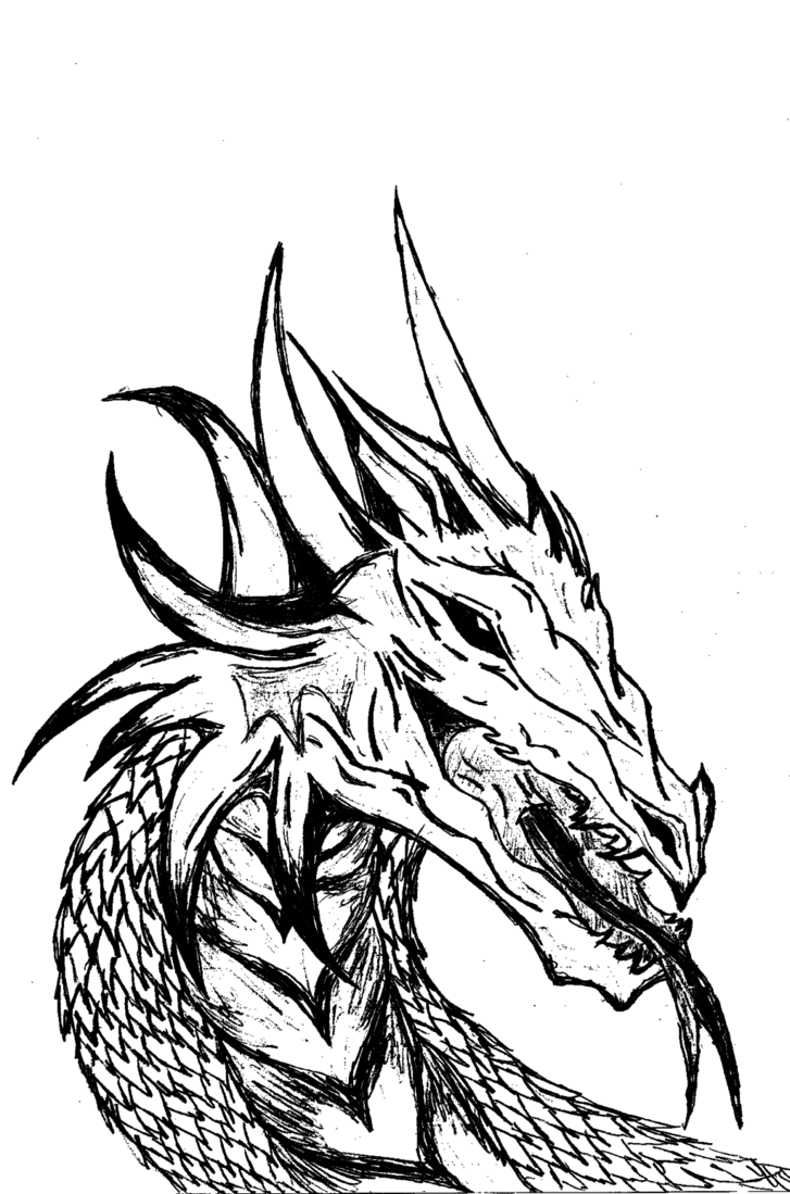 727x1099 Dragon Head (Black And White) By Bellep53
