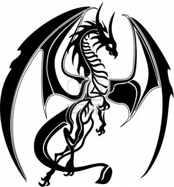 558x600 Drawn Dragon Black And White