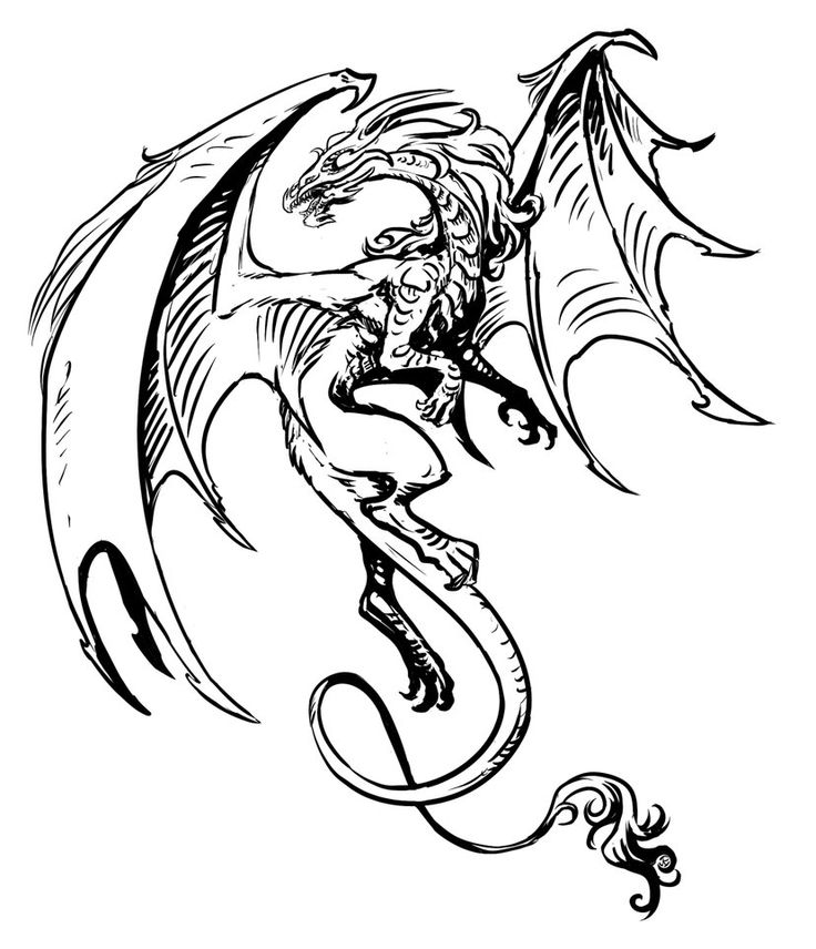 736x856 648 Best Dragons In Black And White