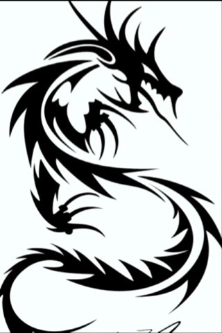 320x480 Drawn Dragon Black And White