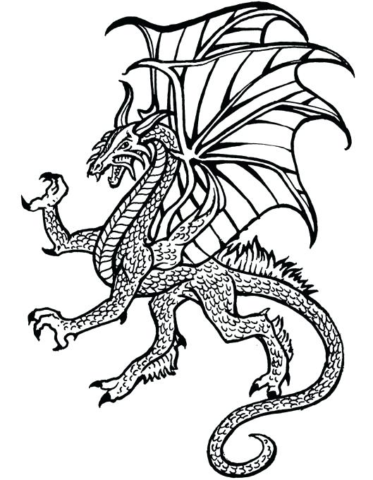 529x680 Dragon Tales Coloring Pages Online Cute Fat Printable For Kids