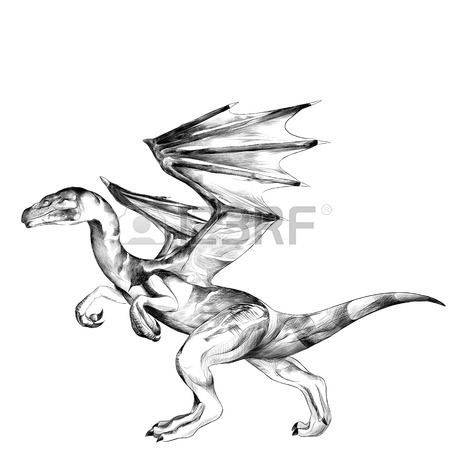 450x450 Dragon Head With Horns Sketch Vector Graphics Black And White