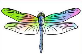 265x175 Free Dragonfly Clipart