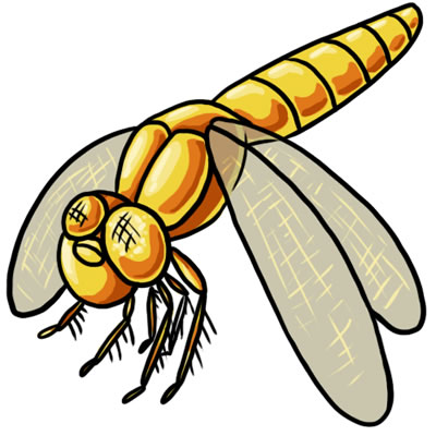 400x400 Free Dragonfly Clip Art 4
