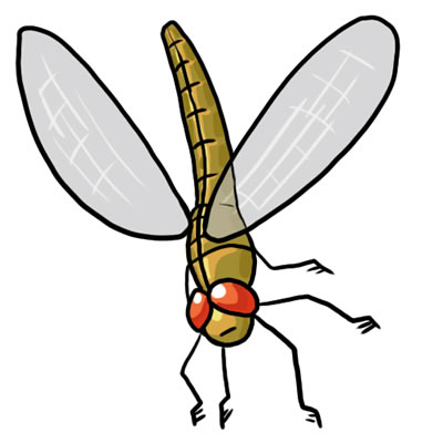 400x400 Free Dragonfly Clip Art Clipart Clipart