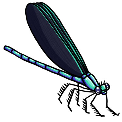 400x400 50 Free Dragonfly Clip Art 25