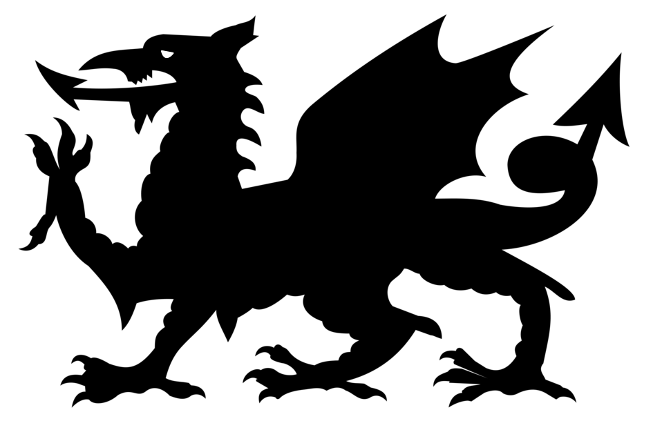 958x639 Dragon Free Stock Photo Illustration Of A Dragon Silhouette