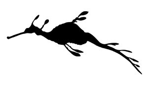 300x181 Free Stock Photos