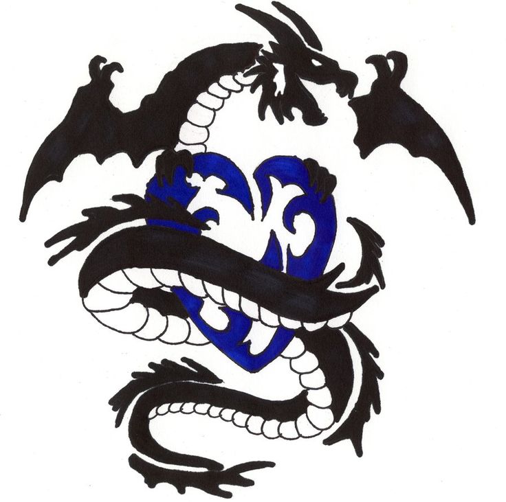 736x731 35 Best Heart Dragon Tattoo Drawings Images Design