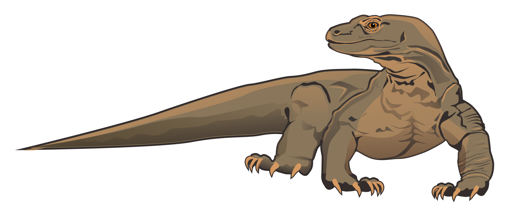 1819x768 Best Komodo Dragon Clipart