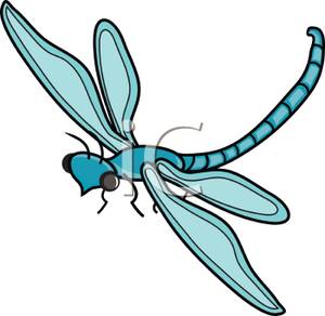 300x292 Art Image A Flying Blue Dragonfly