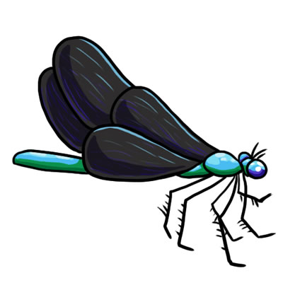 400x400 25 Free Dragonfly Clip Art Drawings And Colorful Images
