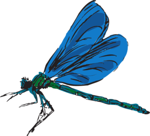 299x270 Dragonfly Art Clip Art