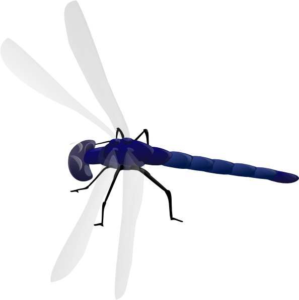 594x597 Dragonfly Clip Art