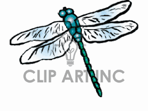 300x225 28 Dragonfly Clip Art Images Clipart Panda
