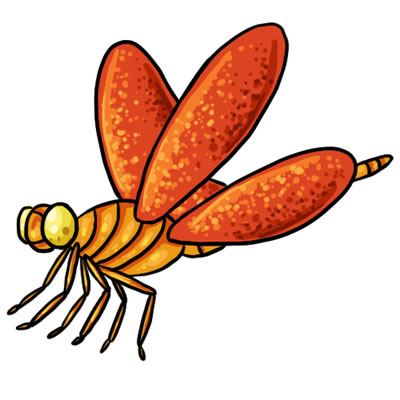 400x400 Free Dragonfly Clip Art Clipart Clipart Clipartix 4