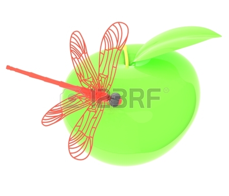 450x386 Dragonfly Clip Art