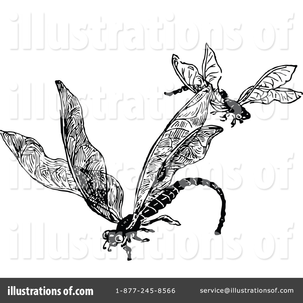 1024x1024 Dragonfly Clipart