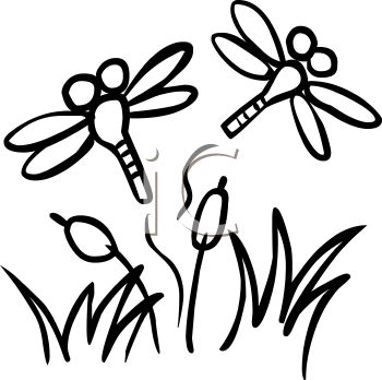 350x348 Dragonfly Clipart Coloring Page
