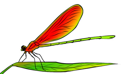 400x246 Free Dragonfly Clip Art Drawings And Colorful Images 4
