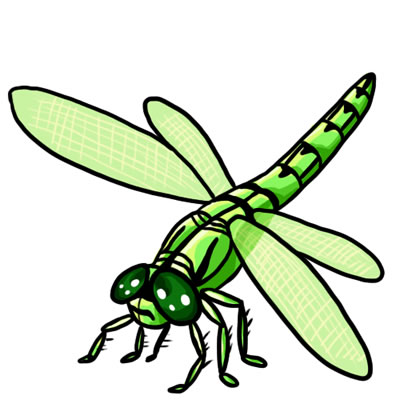 400x400 Free Dragonfly Clip Art Drawings Andlorful Images